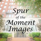 User picture for Alexander Scott