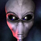 User picture for Joey Roa