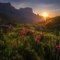 User picture for Vladimir Lyapin