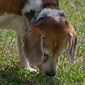 User picture for Richard Rizzo
