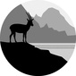 User picture for Yaniv Eliash