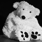 User picture for Josef Wimo