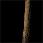 User picture for Phillip Collier