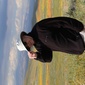 User picture for David Japka