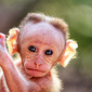 User picture for Muniraju VB