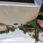 User picture for Chris Ellinger