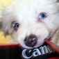 User picture for Gordon Scott