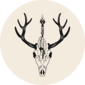 User picture for Daniel Crosson