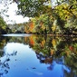 User picture for William Garrett
