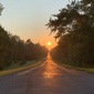 User picture for Daniel Mainville