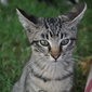 User picture for Brigot York