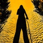 User picture for Alex Bush