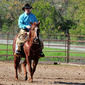 User picture for Ken Dobbs