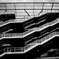 User picture for nicola palazzini