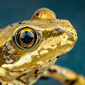 User picture for Martin Boaring