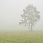 User picture for Ilija Stanusic
