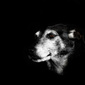 User picture for John Pouw