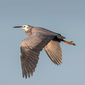 User picture for Keith Jones