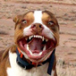 User picture for john rundberg