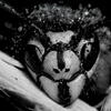 User picture for Wojciech Sobiesiak
