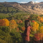 User picture for miyu nishida