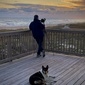 User picture for Martin Owen