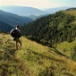 User picture for Joseph Sabra
