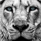 User picture for Brock Heilman