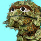 User picture for AD T