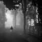 User picture for Monochrome Photon