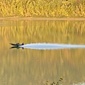User picture for Paul Garbis