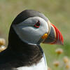 User picture for David Udin