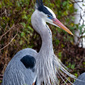 User picture for Robert McCaslan