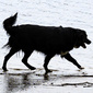 User picture for Romeo Bartlett