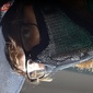 User picture for Josh Guisewite