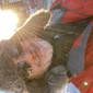 User picture for Loup Demer