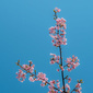 User picture for Guillaume De Oliveira