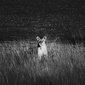 User picture for Marisa Du Toit