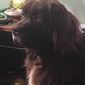 User picture for Jorge Logan
