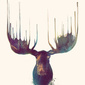 User picture for Espinoza Sigler