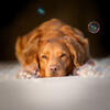User picture for Jacqueline Rüdiger
