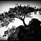 User picture for Biswajit Dash