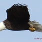 User picture for Leslie Baker