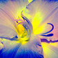 User picture for Robert Chin