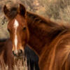 User picture for Douglas Black