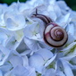User picture for akio miyamoto