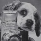 User picture for Seymour Pampre