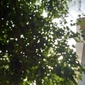 User picture for Abhinand R