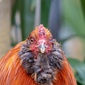 User picture for Evans Caron