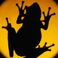 User picture for Roddy Hays